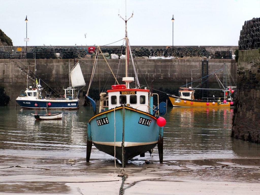 Harrington Flats New Quay Exterior foto